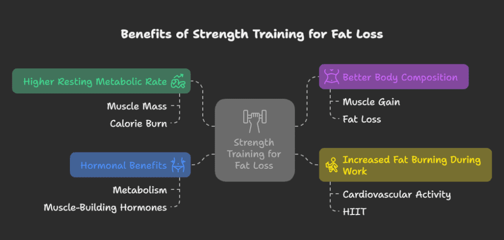 Strength Training Contributes to Fat Loss