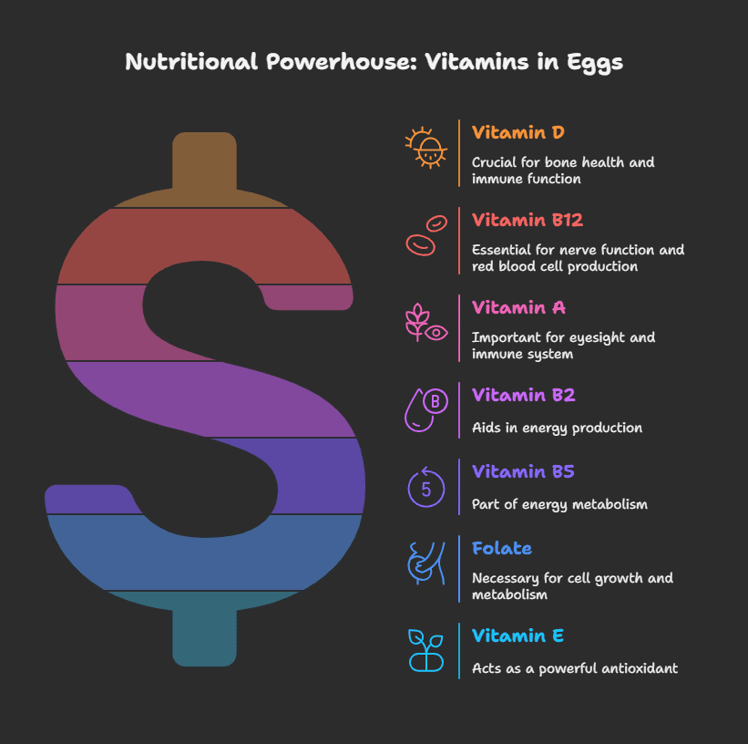 Is Eating Eggs Every Day Bad? Everything you need to know 1 Eggs are an important source of many key vitamins
