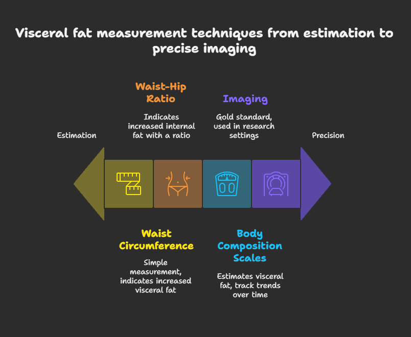 What is Visceral Fat? Understanding the Hazards of Deep Belly Fat 1 Tracking Your Internal Fat: Equipment and Techniques