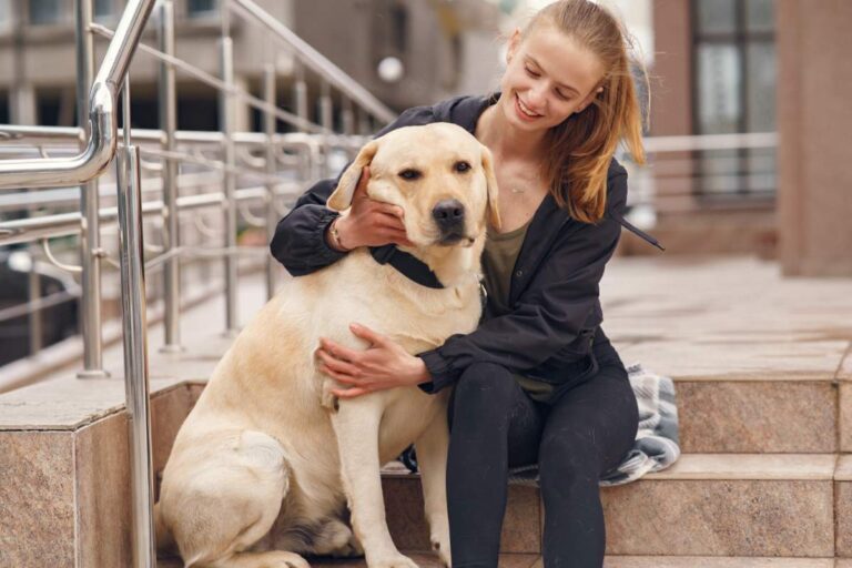 uae pet care