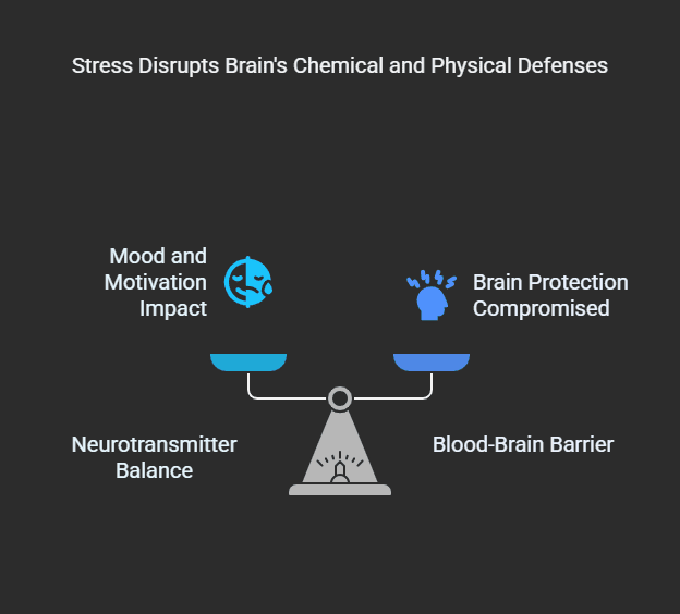 changes your brain