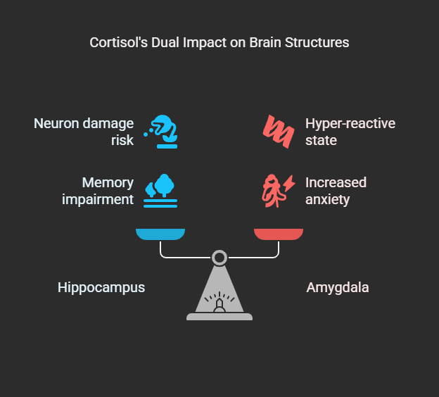 Slow Damage to Key Brain Areas