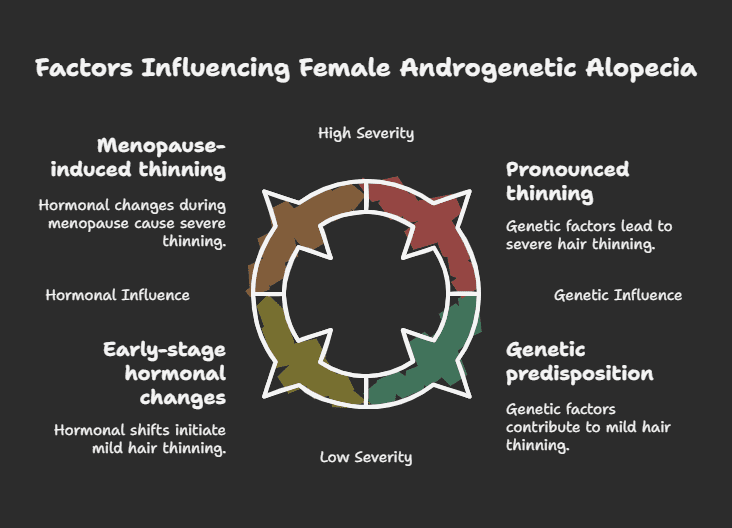 Alopecia Explained: the Different Types of Hair Loss 1 Female Pattern Hair Loss)