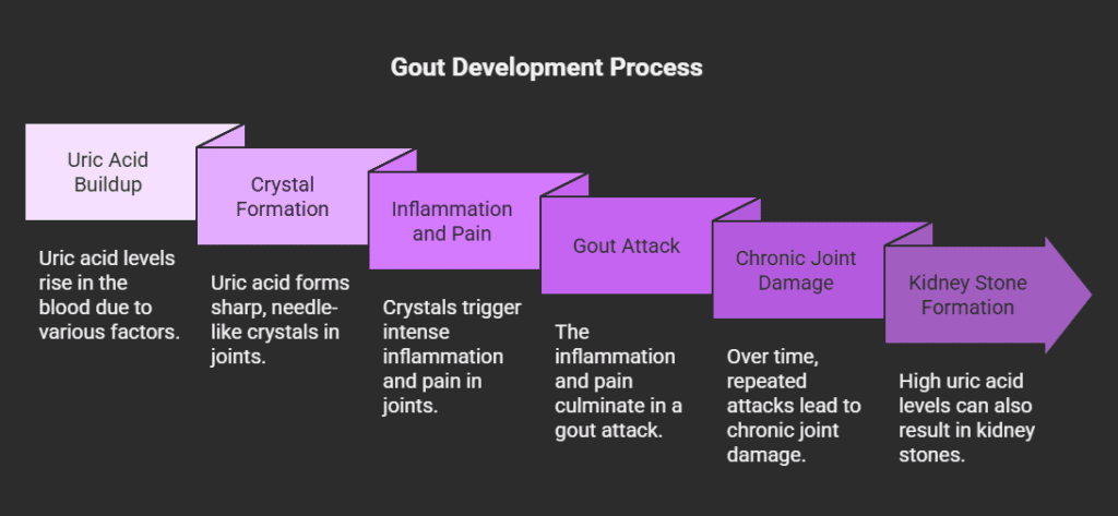 Gout Development Process
