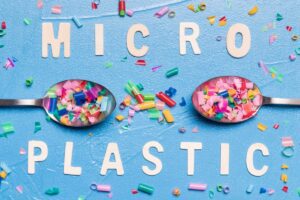 micro plastc issue