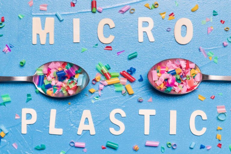 micro plastc issue
