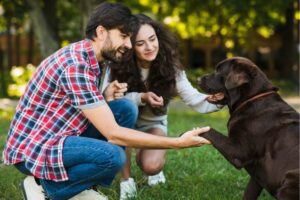Socializing your Puppy