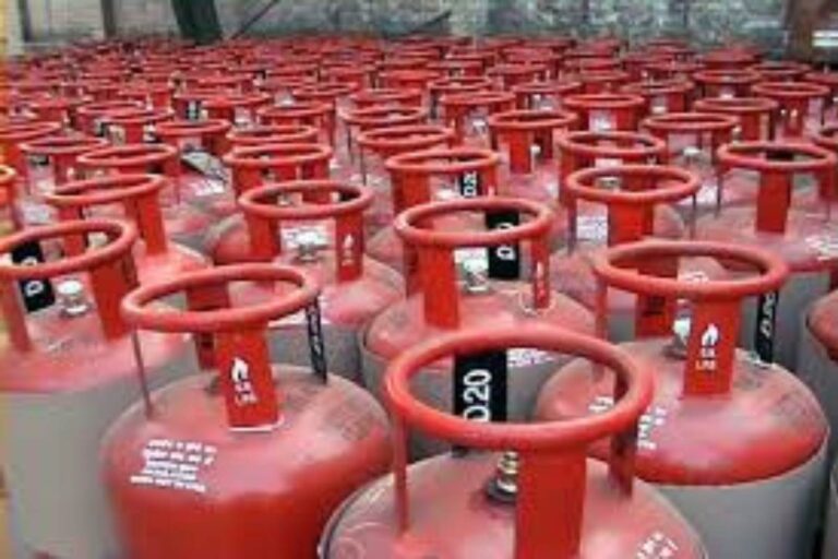 LPG Subsidy Reform in India: