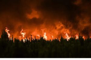 Southern France Wildfire 2025