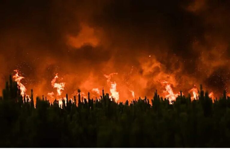 Southern France Wildfire 2025
