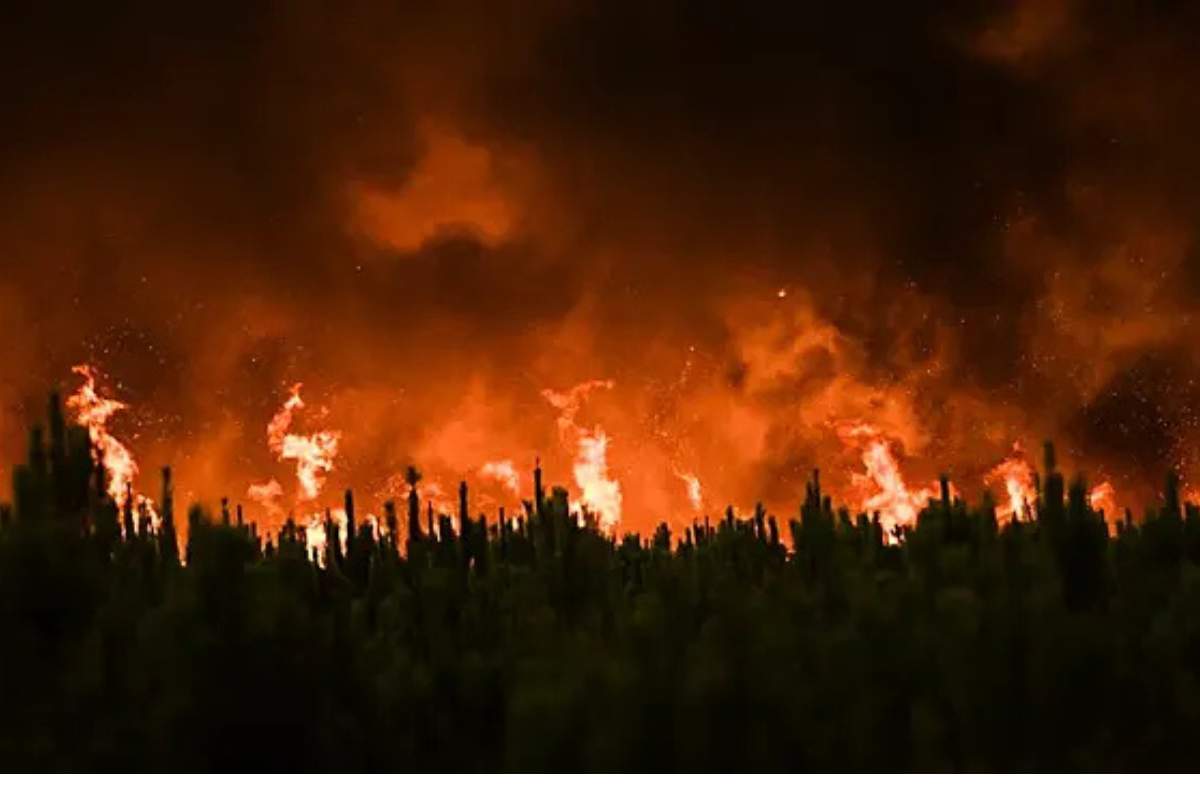 Southern France Wildfire 2025