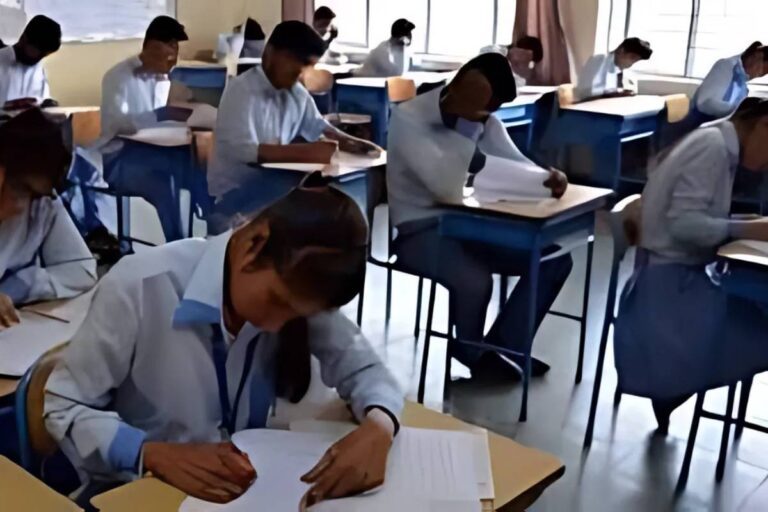 Government Plans Skill-Based Learning Class 11-12: Pradhan